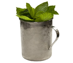 Mint Julep Master Of Mixes